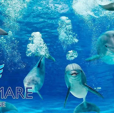 Отель Simplon