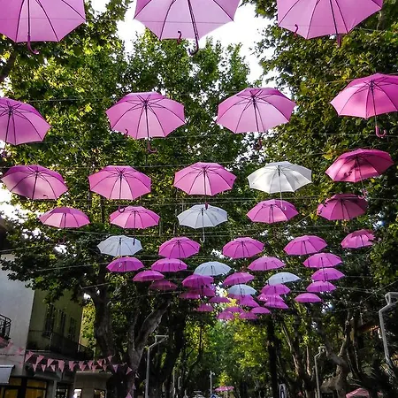 Simplon Bellaria-Igea Marina