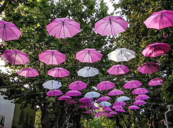 Simplon 贝拉里亚-伊贾马里纳